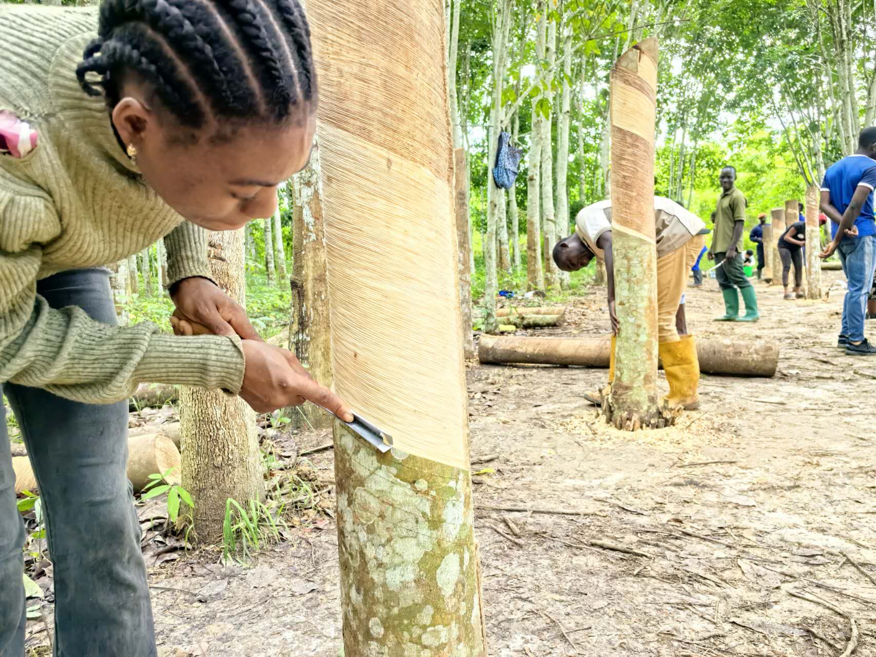 1712823151984029562.jpg 1712823151984029562.jpg