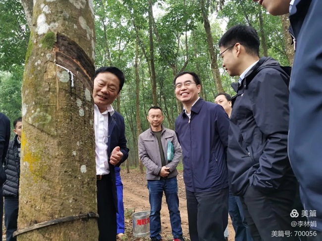 �ƽ�Ǽ��Ź���|��ҳ