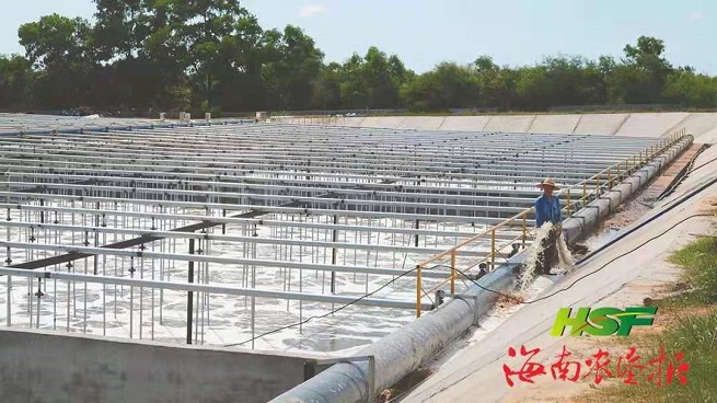 �ƽ�Ǽ��Ź���|��ҳ