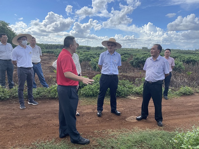 �ƽ�Ǽ��Ź���|��ҳ