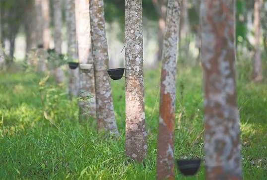 �ƽ�Ǽ��Ź���|��ҳ