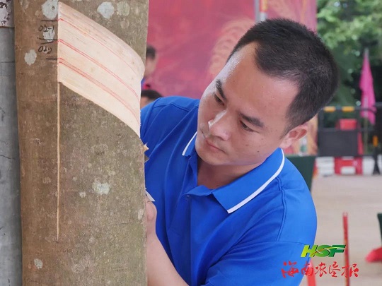 �ƽ�Ǽ��Ź���|��ҳ