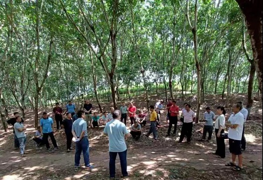 �ƽ�Ǽ��Ź���|��ҳ