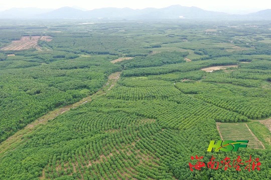 �ƽ�Ǽ��Ź���|��ҳ