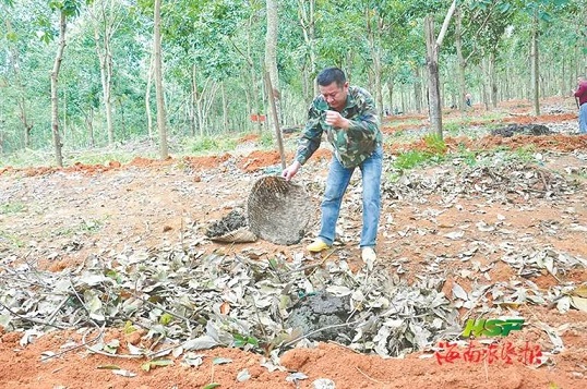 �ƽ�Ǽ��Ź���|��ҳ