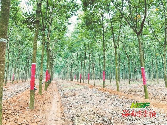 �ƽ�Ǽ��Ź���|��ҳ