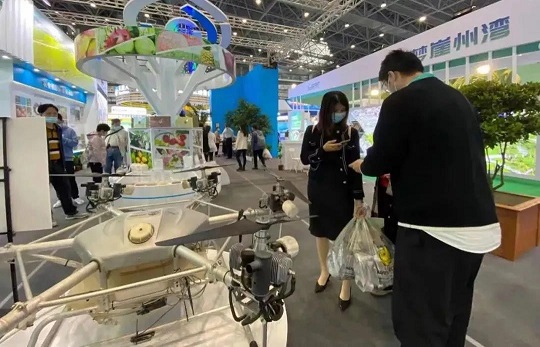 �ƽ�Ǽ��Ź���|��ҳ