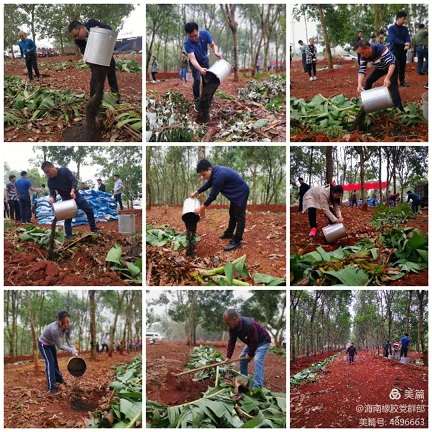 �ƽ�Ǽ��Ź���|��ҳ