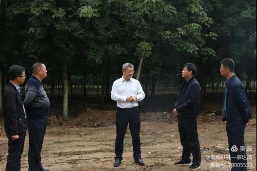 �ƽ�Ǽ��Ź���|��ҳ