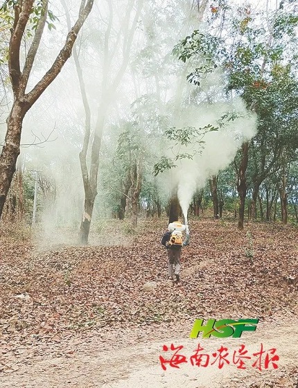 �ƽ�Ǽ��Ź���|��ҳ