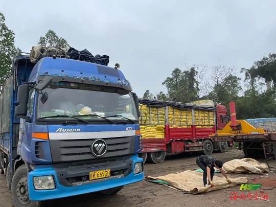 �ƽ�Ǽ��Ź���|��ҳ