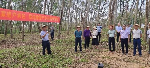 �ƽ�Ǽ��Ź���|��ҳ