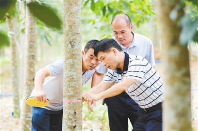 �ƽ�Ǽ��Ź���|��ҳ