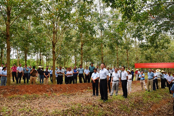 �ƽ�Ǽ��Ź���|��ҳ