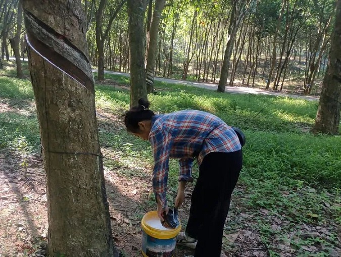 �ƽ�Ǽ��Ź���|��ҳ