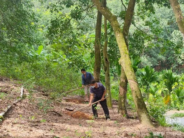 �ƽ�Ǽ��Ź���|��ҳ