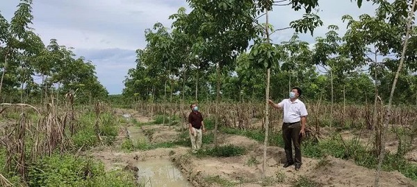 �ƽ�Ǽ��Ź���|��ҳ