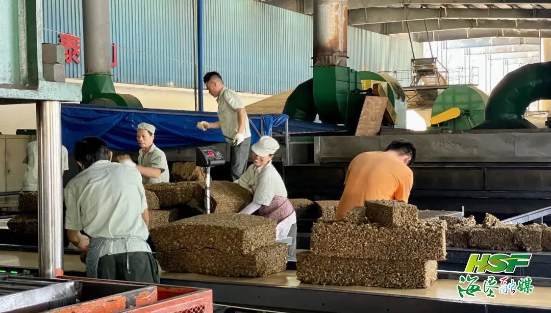 �ƽ�Ǽ��Ź���|��ҳ