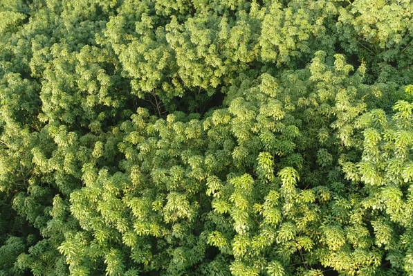 �ƽ�Ǽ��Ź���|��ҳ