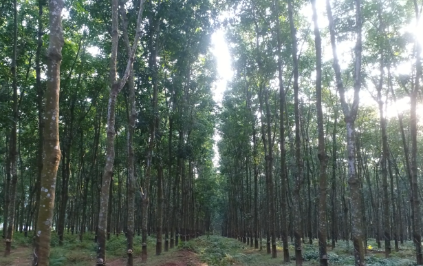 �ƽ�Ǽ��Ź���|��ҳ