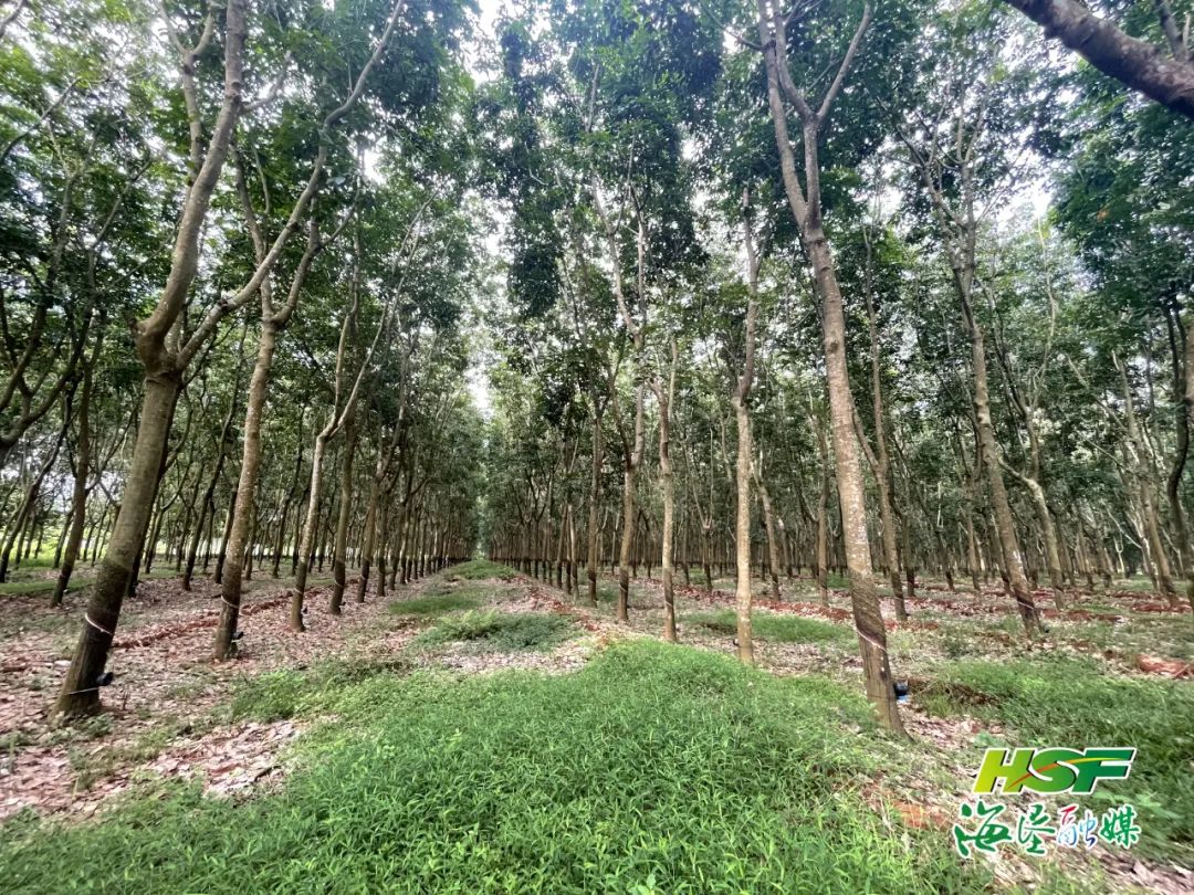 �ƽ�Ǽ��Ź���|��ҳ