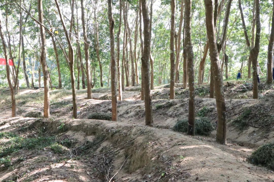 �ƽ�Ǽ��Ź���|��ҳ