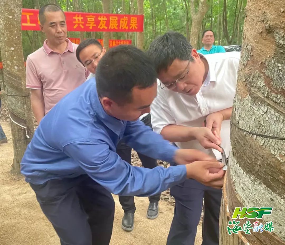 »Æ½ð³Ç¼¯ÍŹÙÍø|Ê×Ò³