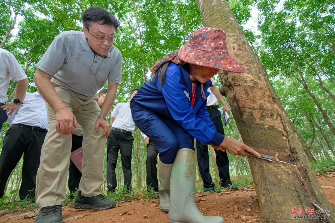 �ƽ�Ǽ��Ź���|��ҳ