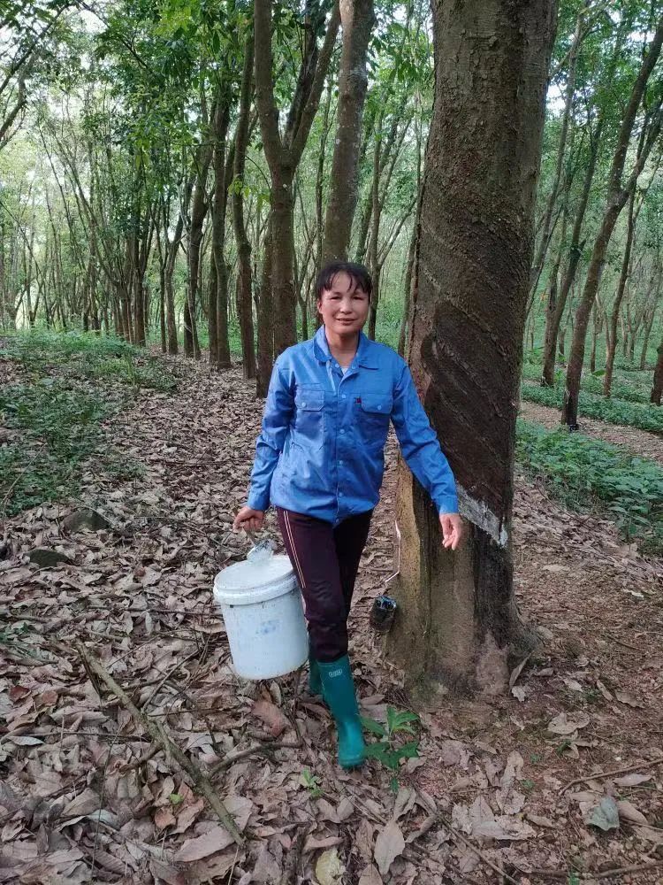 �ƽ�Ǽ��Ź���|��ҳ