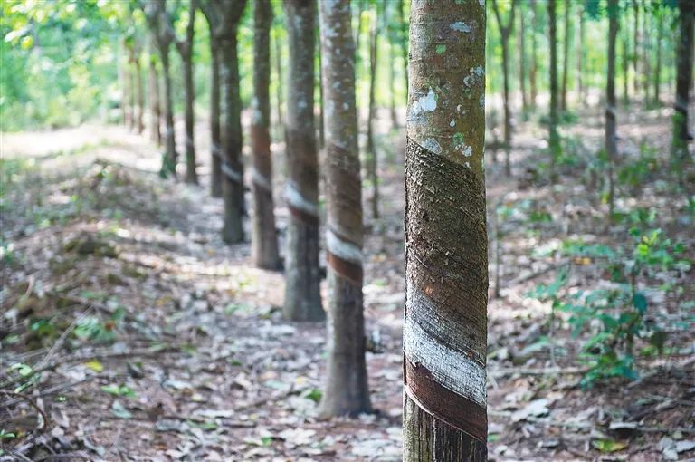 �ƽ�Ǽ��Ź���|��ҳ