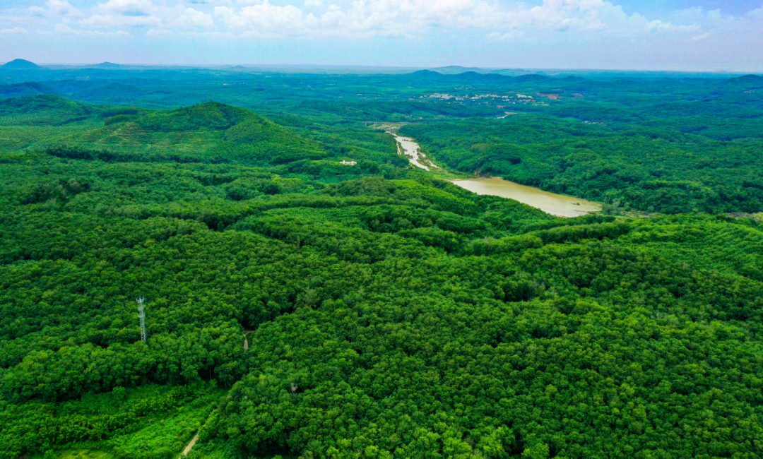 �ƽ�Ǽ��Ź���|��ҳ