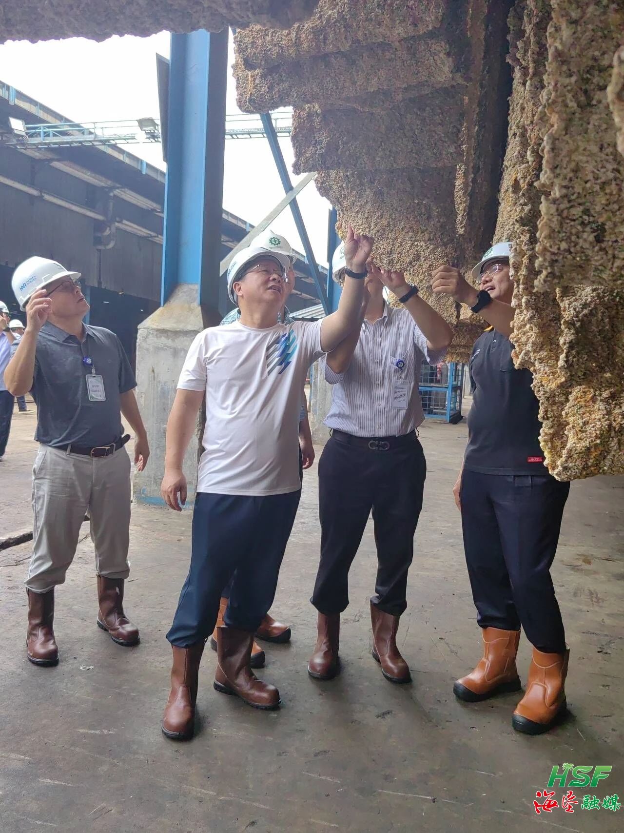 ������һ�е��к�ʢũҵSGO�ӹ�������������������