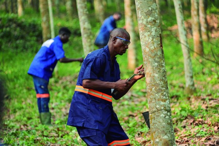 �ƽ�Ǽ��Ź���|��ҳ