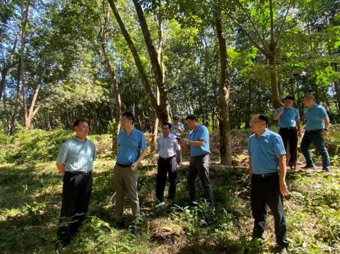 �ƽ�Ǽ��Ź���|��ҳ