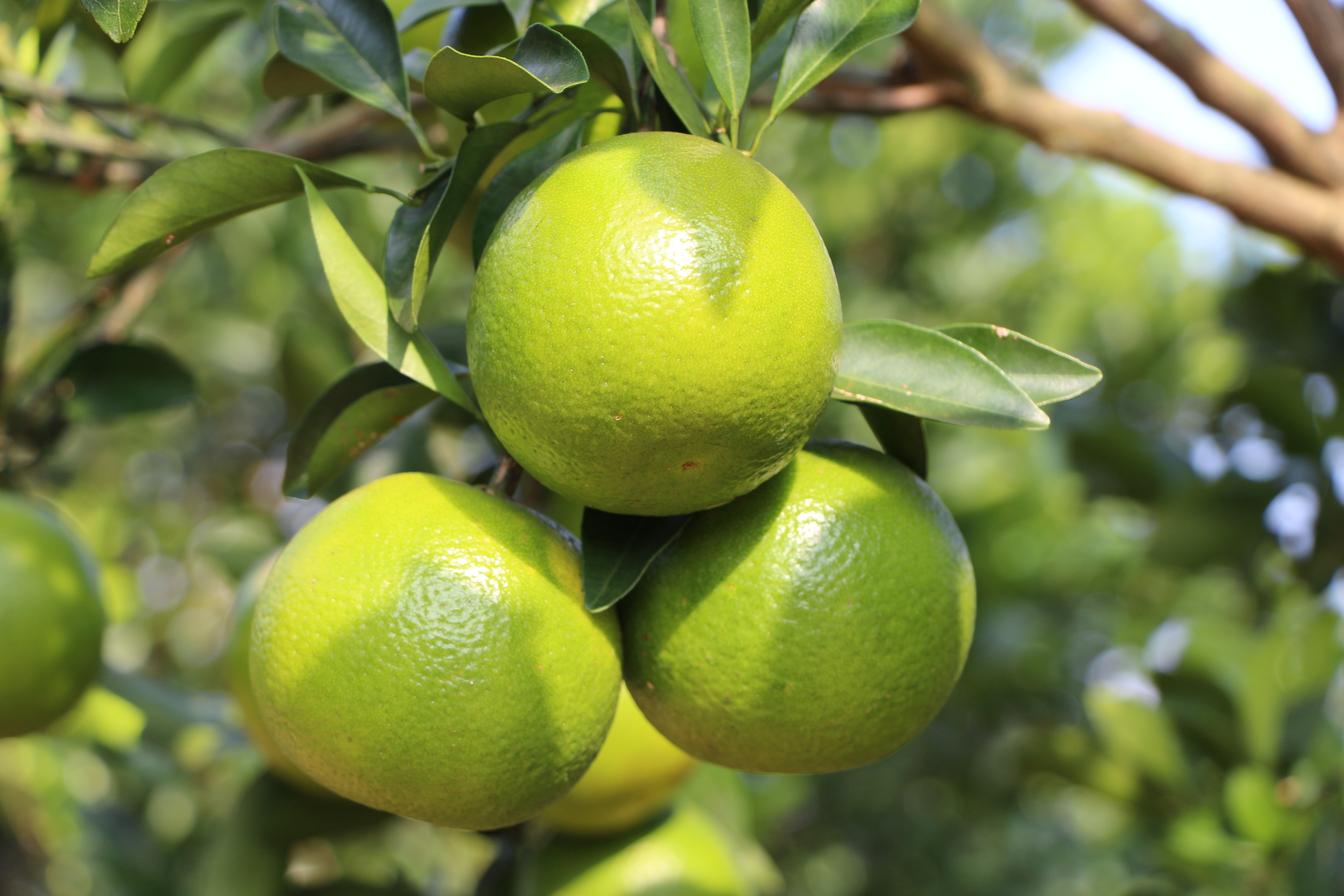 �����ʹ�����