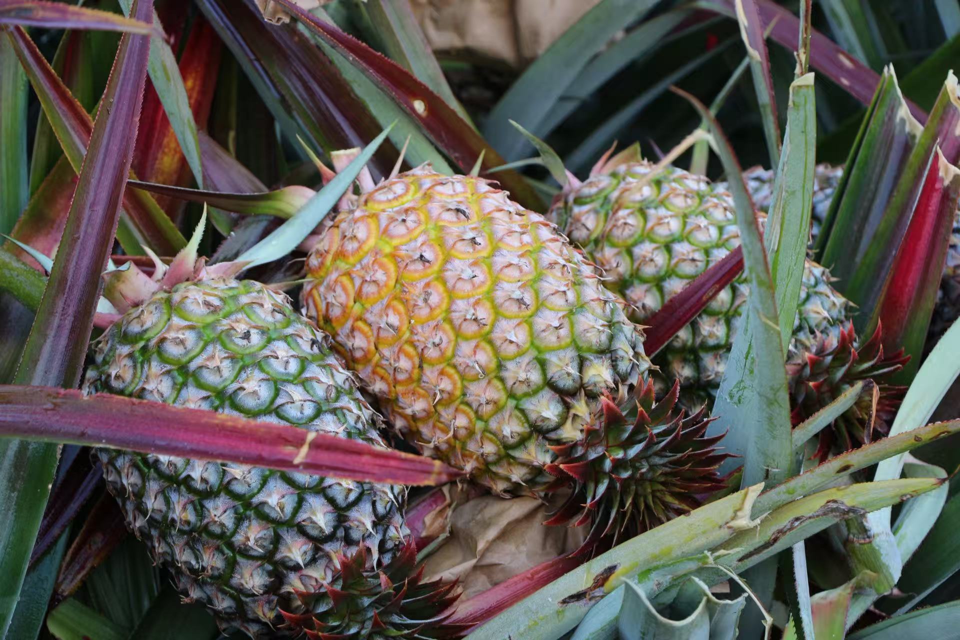 �����ʹ��������